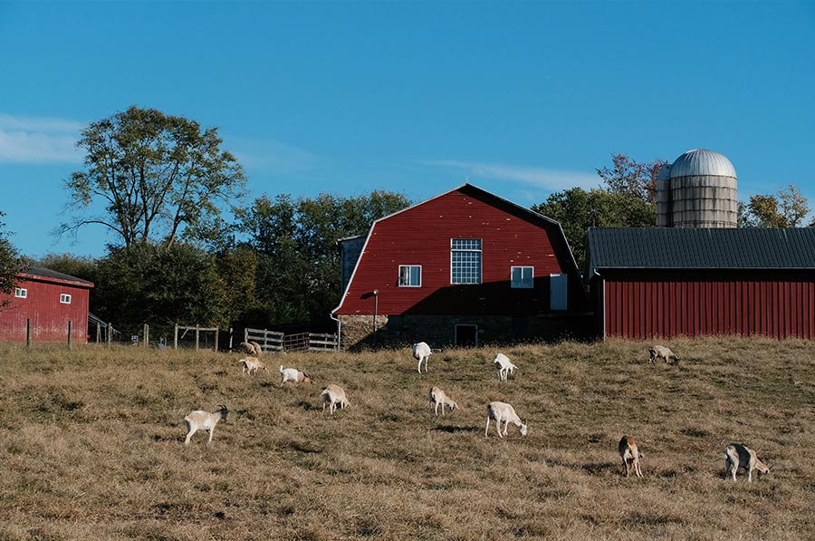 Baraka Farm LLC, Will County, Illinois Baraka Farm LLC, Will County, Illinois