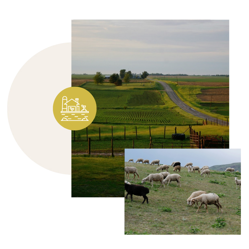 Baraka Farm LLC, Will County, Illinois (2)